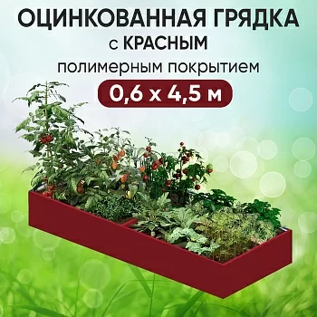 Грядка красная (0,6 х 4,5)